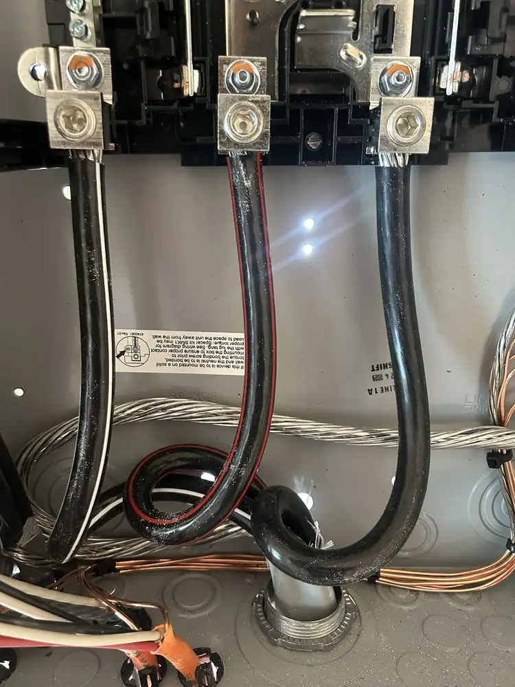 Service conductors landed on the main lugs at the top of a panel